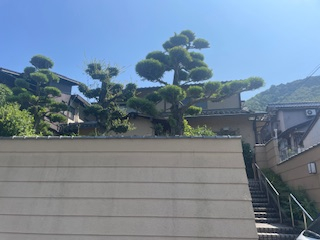 89画像